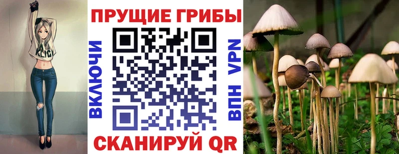 Псилоцибиновые грибы Psilocybe  KRAKEN как зайти  Анапа  купить  цена 